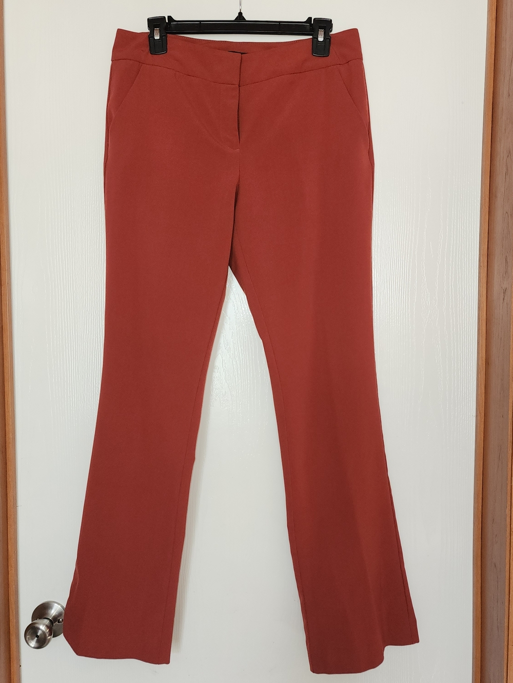 New York and Company Rust Color Pants